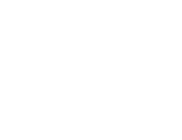 Logo for Pritt Entertainment Group